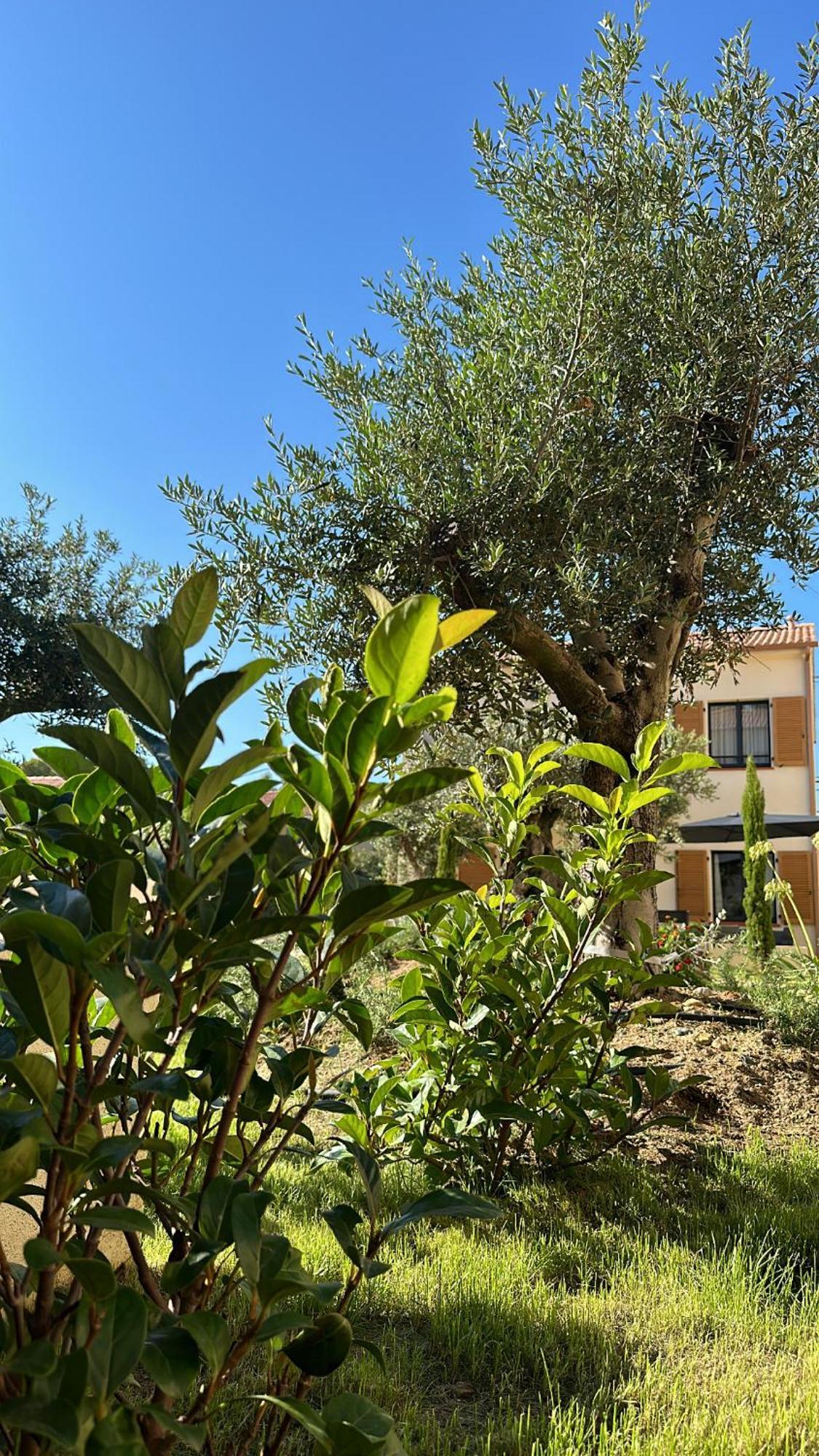 Residence Catalina Saint-Florent  Exterior photo