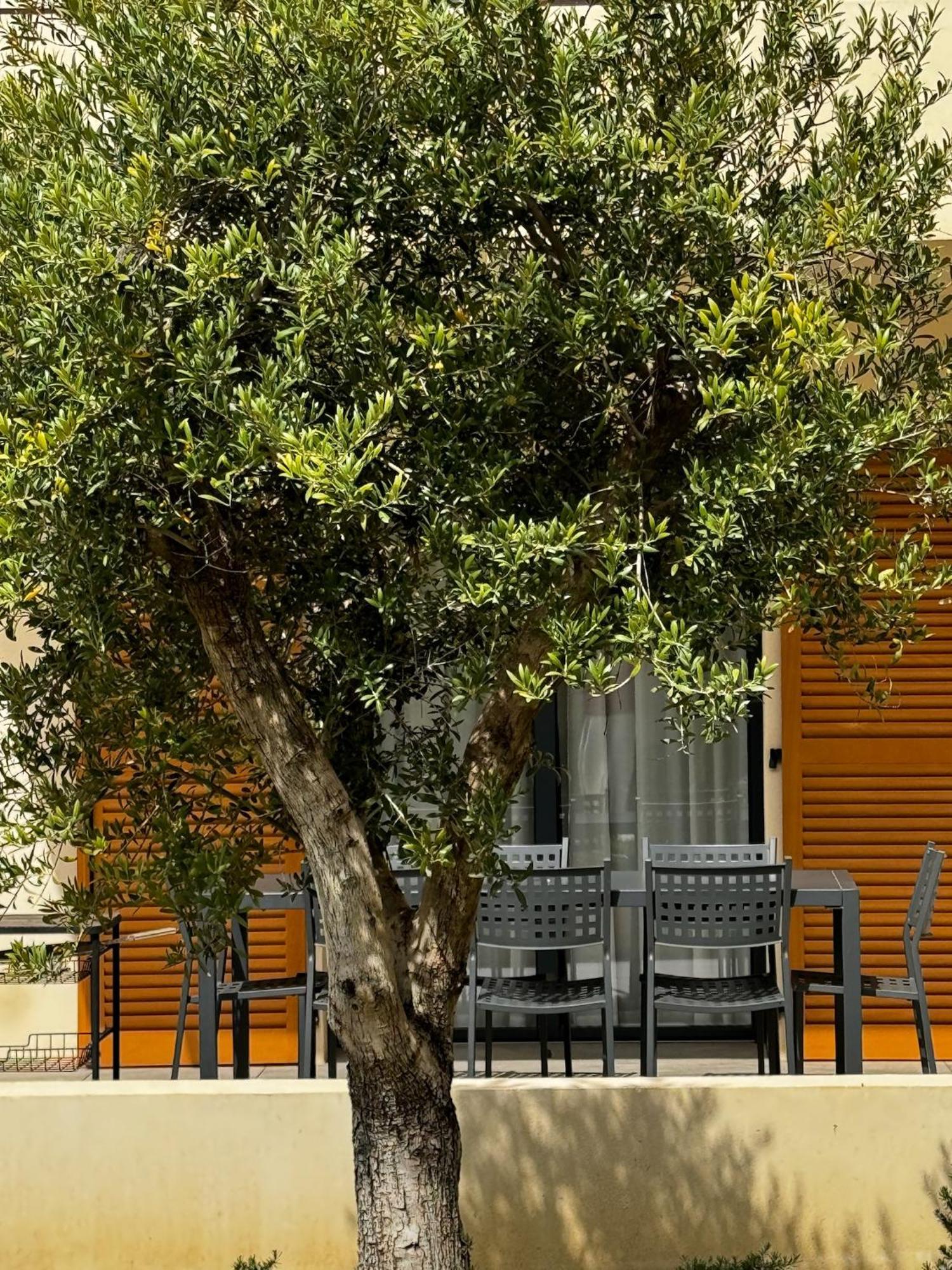 Residence Catalina Saint-Florent  Exterior photo